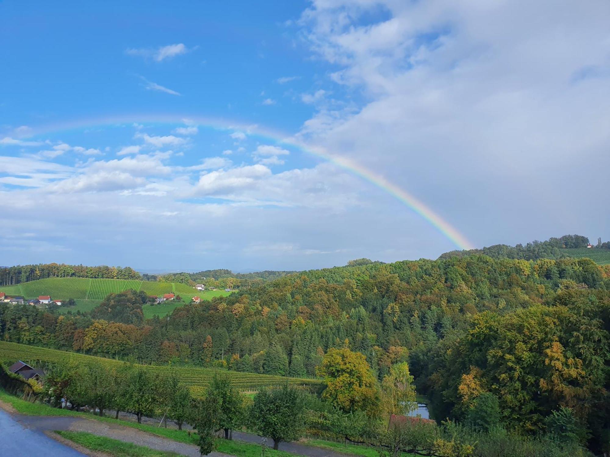 Апартаменти Weingut Pugl Лайбніц Екстер'єр фото