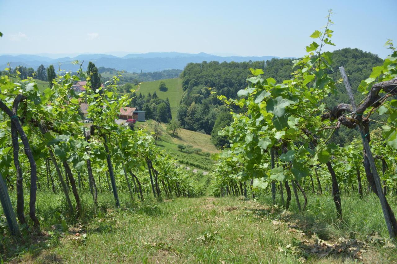 Апартаменти Weingut Pugl Лайбніц Екстер'єр фото